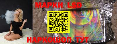 индика Гагарин