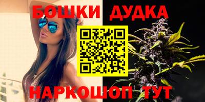 индика Гагарин