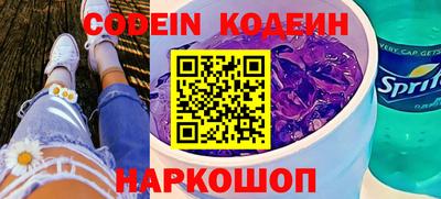 индика Гагарин