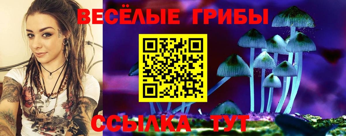 Галлюциногенные грибы мухоморы Можайск